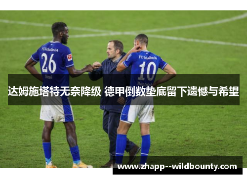 达姆施塔特无奈降级 德甲倒数垫底留下遗憾与希望