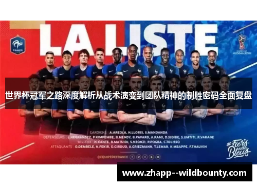 世界杯冠军之路深度解析从战术演变到团队精神的制胜密码全面复盘
