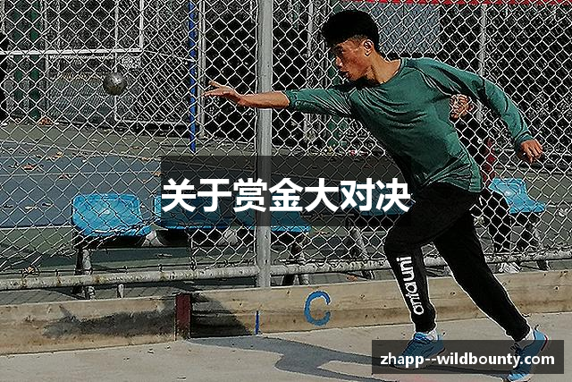 关于赏金大对决